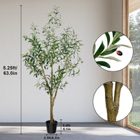 5.25FT 706leaves 28 fruits